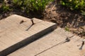 rusty nail sticking out of an old board Royalty Free Stock Photo