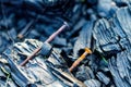 Rusty nails in charred timber after destructive fire Royalty Free Stock Photo