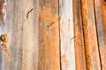 Rusty nails protrude from wooden planks, soft focus