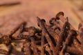 Rusty nails Royalty Free Stock Photo