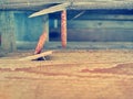 Background of old nails and wood Royalty Free Stock Photo