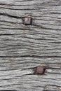 Rusty nails in wood texture Royalty Free Stock Photo