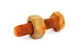 Rusty nut and bolt Royalty Free Stock Photo
