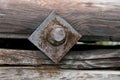 Rusty Nut and Bolt in a Wooden Log