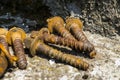 Rusty nuts and bolts Royalty Free Stock Photo