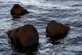 Rusty oil barrels floating on blue ocean, environmental pollution or illegal waste disposal concept