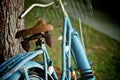 Rusty Old Blue Bicycle