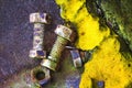 Rusty old bolts and an old polyurethane foam