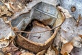 Rusty old bucket Royalty Free Stock Photo