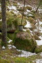 Rusty old bucket standing on rock in forest Royalty Free Stock Photo