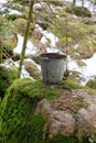 Rusty old bucket standing on rock in forest Royalty Free Stock Photo
