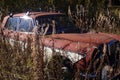 Rusty old car in the forest