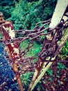 Rusty old gate Royalty Free Stock Photo