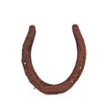 Horseshoe Royalty Free Stock Photo