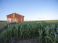 rusty old iron barn in belgian countryside with grass and corn field Royalty Free Stock Photo