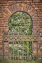 Rusty old iron fence Royalty Free Stock Photo