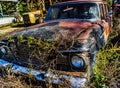 Rusty, old, junked car in the woods