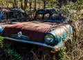 Rusty, old, junked car in the woods