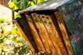 The rusty old mailboxes on the autumn nature. Abandoned iron mailboxes with house numbers