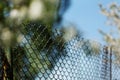 Rusty old mesh cage in garden with green trees and blue sky as background. Steel iron metal fence with wire mesh at Royalty Free Stock Photo