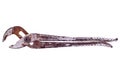Rusty old Pipe-Wrench