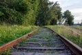 Rusty old railway tracks, unused. Green grass and trees grow all around. Close-up of rusty iron rails and wooden Royalty Free Stock Photo
