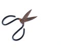 Rusty old scissors isolate on white background Royalty Free Stock Photo