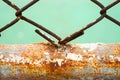 Rusty on the old steel net wire mesh fence, Close up and selective focus, Background grass blur. Royalty Free Stock Photo