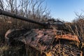 rusty old tank on a testground in the nature Royalty Free Stock Photo