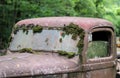 A rusty old truck abandoned in the woods Royalty Free Stock Photo