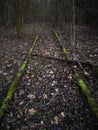 Old, unused, moss-covered railway tracks in Belarusian autumn forest Royalty Free Stock Photo