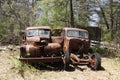 Rusty old vehicles, two trucks