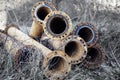 Rusty old water sewer pipes in the tall dry grass Royalty Free Stock Photo