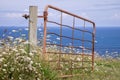 Rusty open gate with flowers