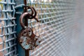 A rusty open lock without a key hangs on a metal fence. Security concept. Selective focus. Copy space Royalty Free Stock Photo