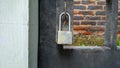 A rusty padlock on a black iron gate Royalty Free Stock Photo