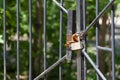 Rusty padlock on the gate Royalty Free Stock Photo
