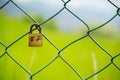 Rusty Padlock on the gate in the meadow fence.