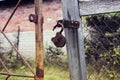 Rusty padlock open on old gate Royalty Free Stock Photo