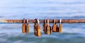 Rusty padlocks closed on peeled railing signaling love. Close up view, blurred background. Royalty Free Stock Photo