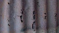 Rusty and perforated zinc metal texture Royalty Free Stock Photo
