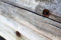 Rusty phillips screws in aging wood Royalty Free Stock Photo