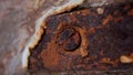 a rusty piece of metal with a metal latch and bolt Royalty Free Stock Photo