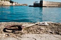 Rusty pier ring with a rope Royalty Free Stock Photo