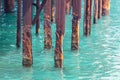 Rusty piles in the water