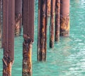 Rusty piles in the water