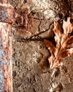 A rusty pipe bleeds into concrete and a brown leaf Royalty Free Stock Photo