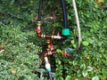 Rusty pipe with valves and hoses among green wet plants. Irrigation system Royalty Free Stock Photo