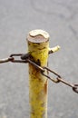 Rusty pole with chain