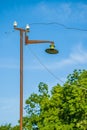 On a rusty pole is an old street lamp with a broken bulb and torn wires. In the background is a tree with green leaves Royalty Free Stock Photo